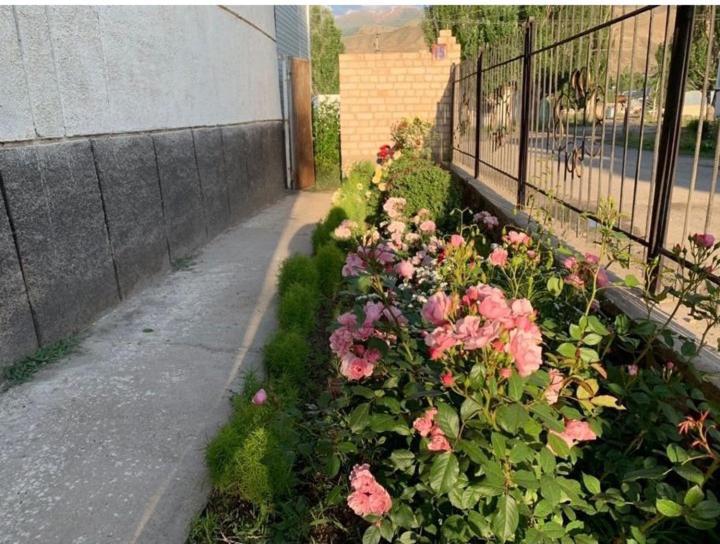 Baktygul Guesthouse Naryn ภายนอก รูปภาพ